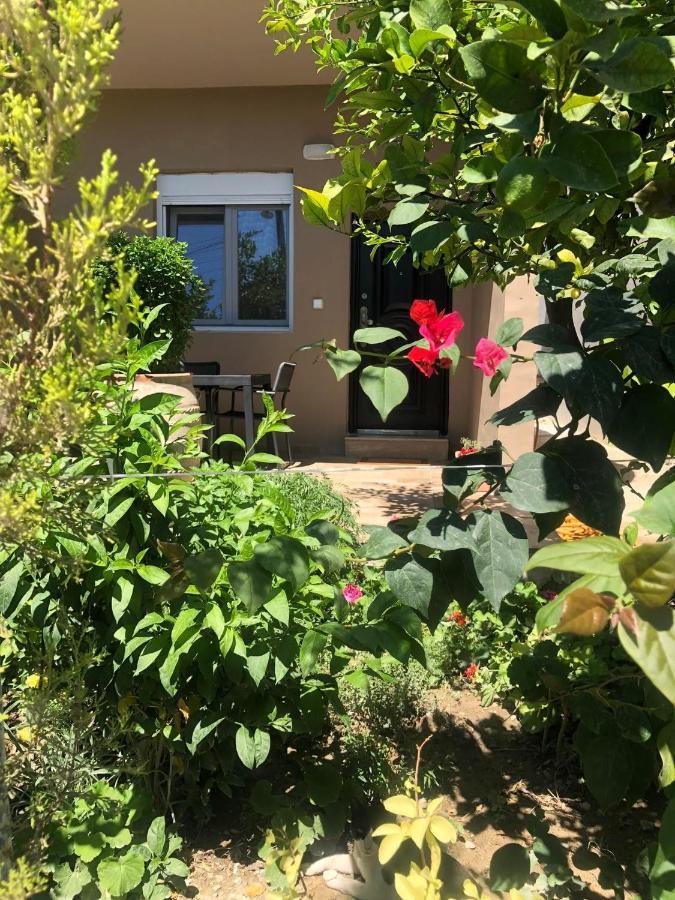 Appartement Lemon